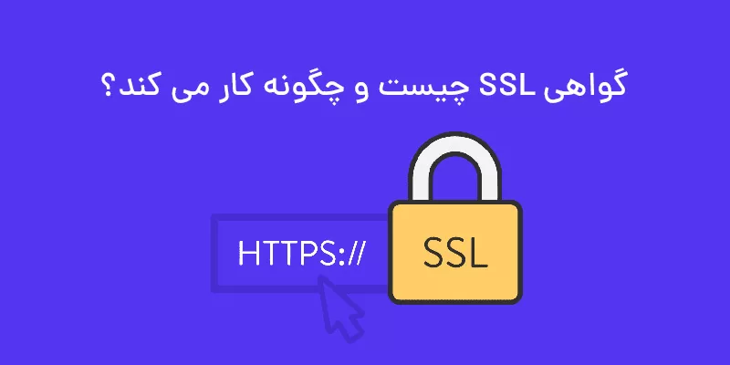 پروتکل امنیتی SSL چگونه کار می کند؟